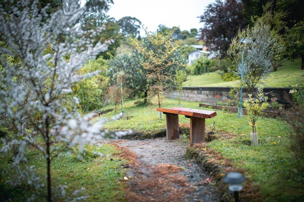 Superb Studio Retreat With Spa, Pool & Bbq Access Whanganui Zewnętrze zdjęcie
